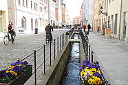 Bach in Wittenberg