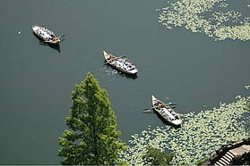 Gondola Tour along Lake Wörlitz