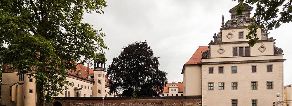 Single party wittenberg